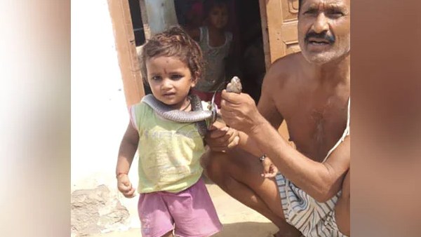 பாம்பு பிடி வீரர்