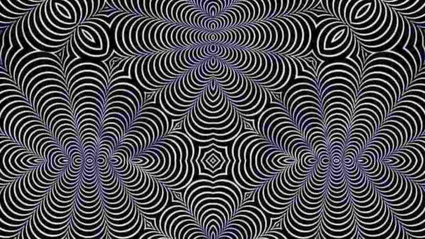 கோடியில் ஒருத்தராலதான் இது முடியும்! இந்த போட்டோவில் உள்ள 2 விலங்குகளை கண்டுபிடிங்க! செம சேலஞ்ச் 