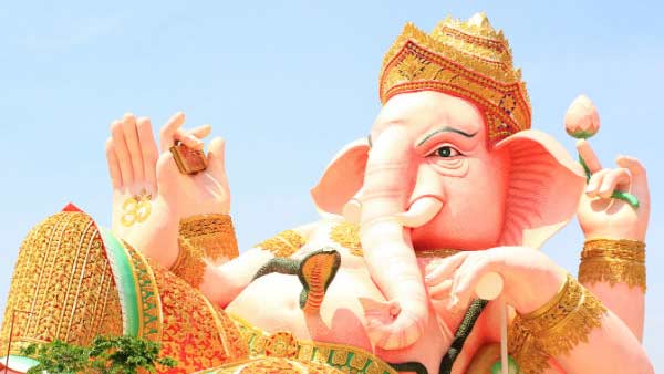 விதிகள் இல்லை