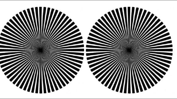 என்னது இது? நெட்டிசன்களை போட்டு குழப்பிய “ஒரு போட்டோ”.. உங்களுக்கு இது என்ன கலரில் தெரியுது? 