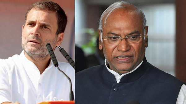 Rahul Gandhi is a only man who has the popularity to lead Congress - Mallikarjun Kharge Rahul Gandhi is a only man who has the popularity to lead Congress - Mallikarjun Kharge