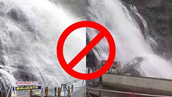 தென்மாவட்டங்களில் விடாது கொட்டிய மழை..பெருகிய வெள்ளம்..நிரம்பும் அணைகள்..அருவிகளில் குளிக்கத் தடை 