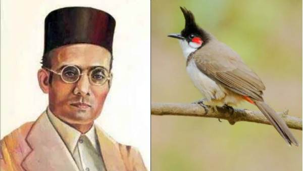 பறவையில் பறந்த “சாவர்க்கர்” - ரசிக்கும் அறிவு இல்லையா? கவித்துவமா பார்க்கனுமாம்.. அடடே விளக்கம் 
