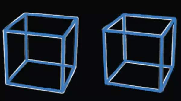 எலான் மஸ்க்கே பார்த்து வாவ் சொன்ன வீடியோ! கண்களை குழப்பிய மாயம்! உங்களுக்கும் அப்படித்தான் தெரியுதா? 