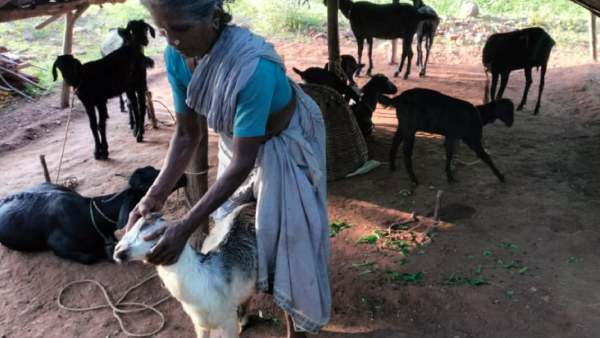 மக்கள் கதறல்