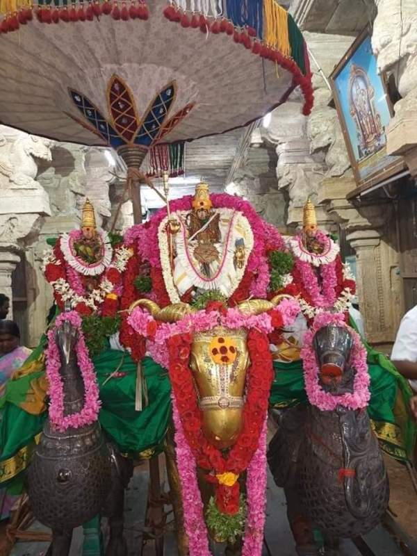 பச்சை சாத்தி சண்முகர் தரிசனம்