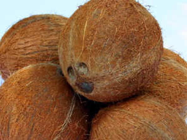 தேங்காய் பரிகாரம்