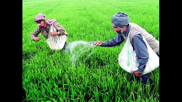 வெளிநாடுகளில் இருந்து இறக்குமதி