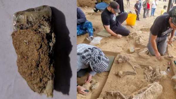 எல்லாம் போச்சு! “மனித வரலாறே மாறும்”! பூமிக்கு அடியில் கிடைத்த ஒரு பல்.. விக்கித்த ஆராய்ச்சியாளர்கள் 