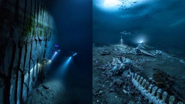 திமிங்கலங்களின் சுடுகாடு தெரியுமா? உள்ளே போய் பார்த்தால் யப்பா.. என்ன இப்படி இருக்கே! பரபர போட்டோ 