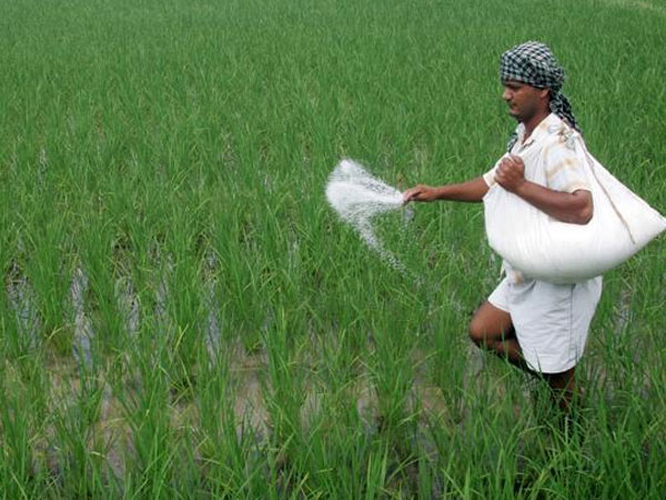ரசாயன உரங்களுக்கு தடை