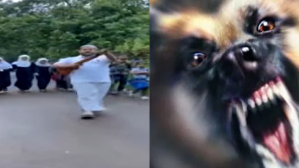 கேரளாவை மிரட்டும் வெறி நாய்கள்...21 பேர் பலி...பாதுகாப்புக்கு துப்பாக்கியை தூக்கிய பொதுமக்கள் 