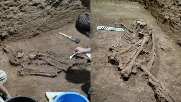 “மெடிக்கல் மிராக்கள்”.. மண்ணுக்குள் கிடைத்த 31,000 பழைய எலும்பு கூடு! எடுத்து பார்த்தால்.. அச்சச்சோ 