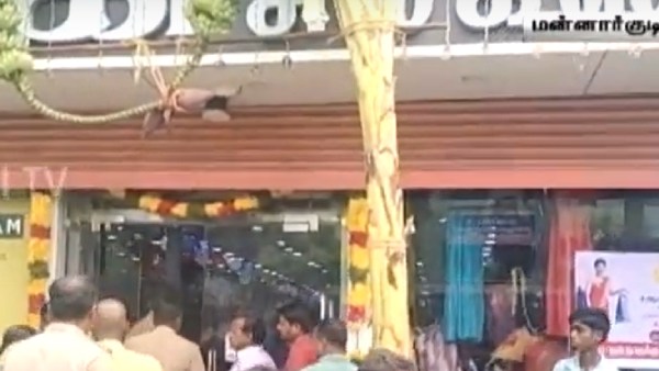 ஓசியோ ஓசி