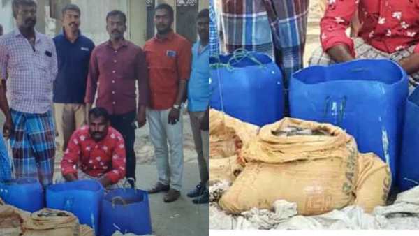 சினிமாவை மிஞ்சும் “சேஸிங்”.. குவிந்த “கேங்ஸ்டர்கள்”.. ராமநாதபுரத்தில் நடந்த பரபர சம்பவம்.. பின்னணி! 