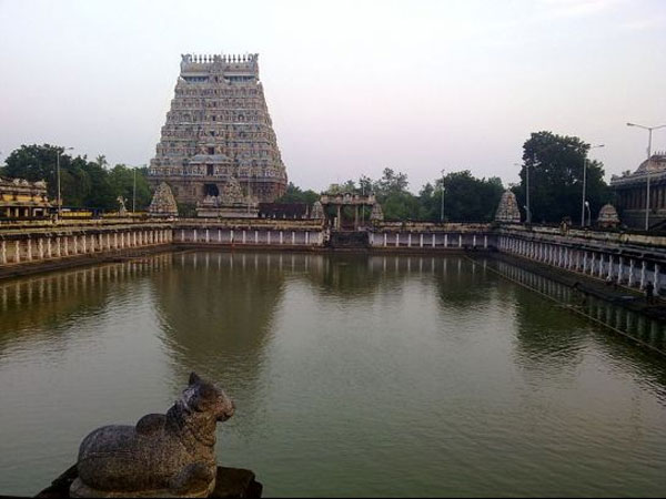 தலையீடு