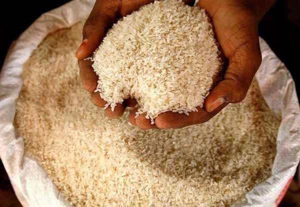 கருப்பு ஆடுகள்