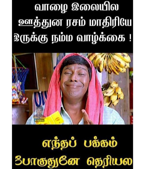 Funny memes collections on purattasi month sunday Funny memes collections on purattasi month sunday