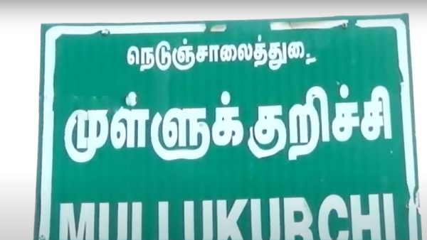 பாம்பு