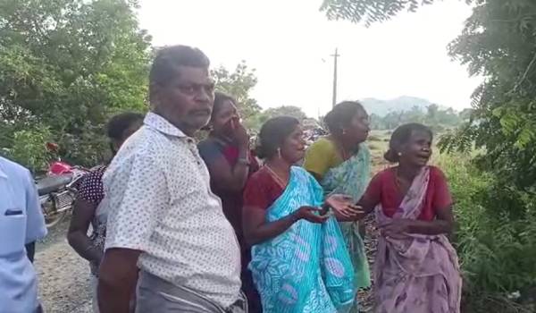 எலுமிச்சை பழம், மஞ்சள் தூள்