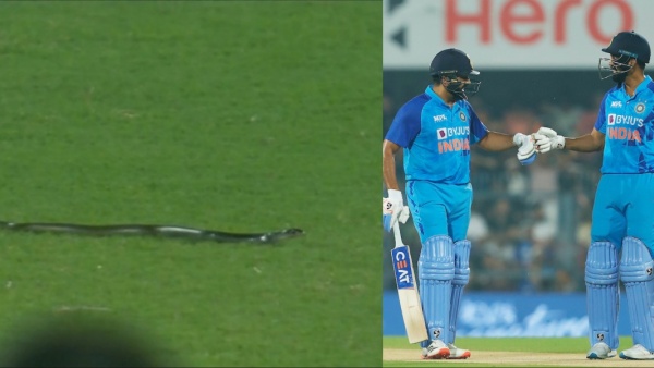 பாம்பு நுழைந்தது