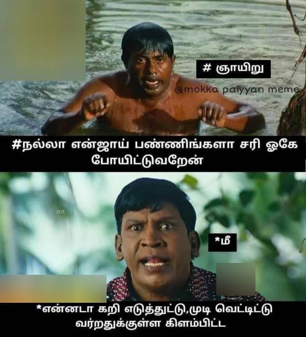 Funny memes collection on sunday 2022-11-13 Funny memes collection on sunday 2022-11-13