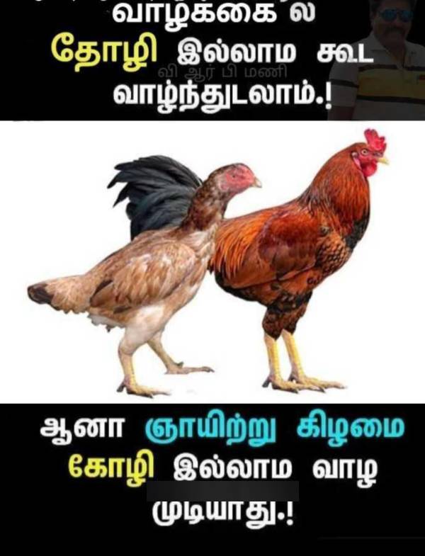 Funny memes collection on sunday 2022-11-13 Funny memes collection on sunday 2022-11-13
