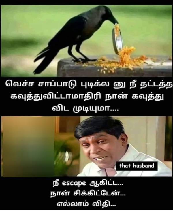Funny memes collection on sunday 2022-11-13 Funny memes collection on sunday 2022-11-13