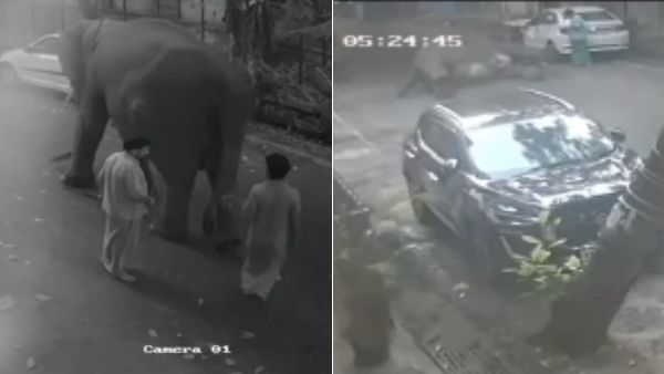சிசிடிவி காட்சியால் சோகம்