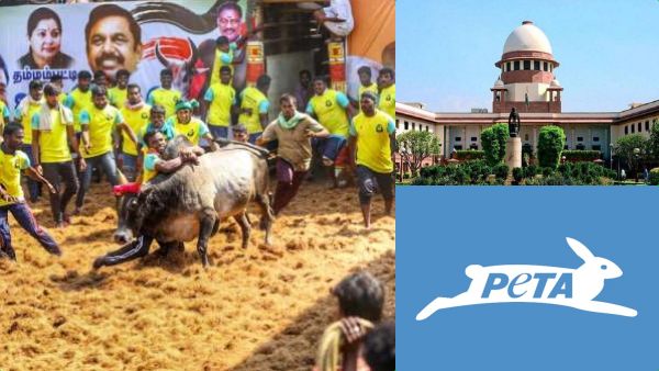 ஜல்லிக்கட்டு விளக்கம்