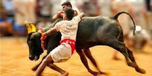 சிறந்த வழக்கறிஞர்கள் மூலம்