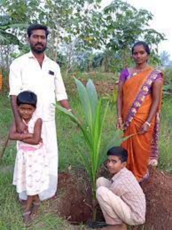 கணக்கில் சேர்க்கப்படவில்லை