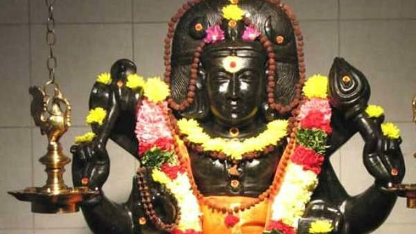லாப குருவின் பார்வை