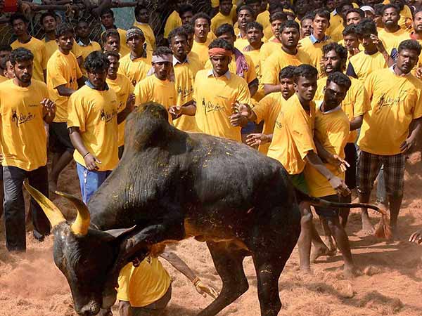 இறுதி கேள்வி இதுதான்