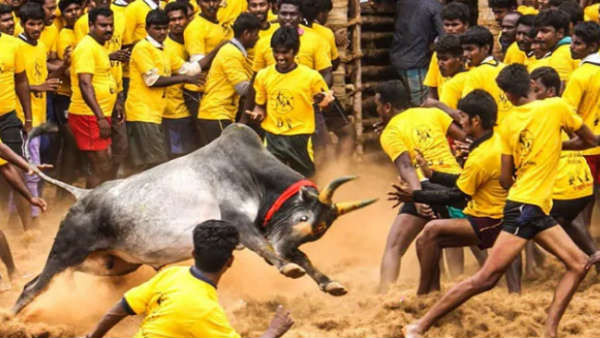 ஃபோட்டோக்கள்