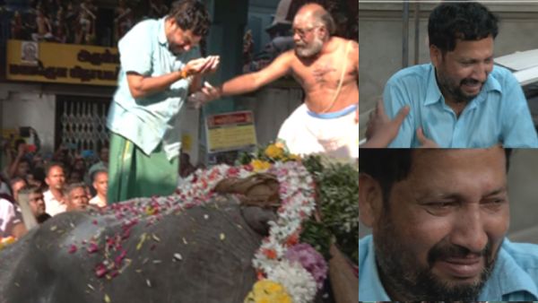 புதிய யானை வாங்க வேண்டும்