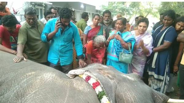 மாலை அடக்கம்