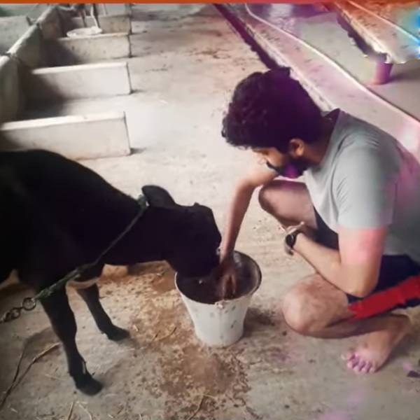 ஹாட் ப்ராப்ளம்