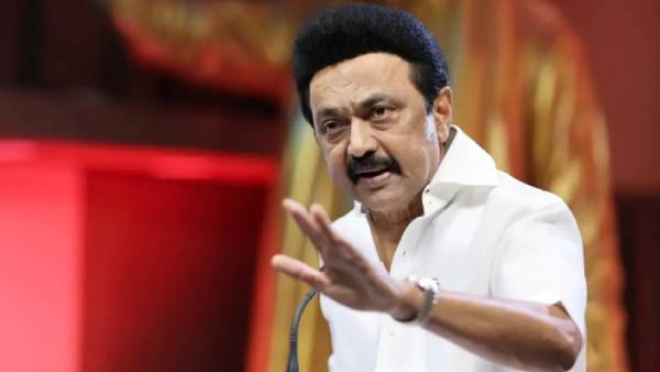 ஆக்டிவ் நபர்