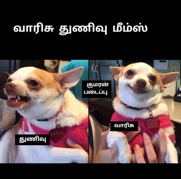 Funny memes collection on varisu and thunivu movie release Funny memes collection on varisu and thunivu movie release