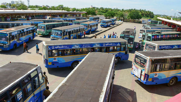 சிறப்பு பேருந்துகள்
