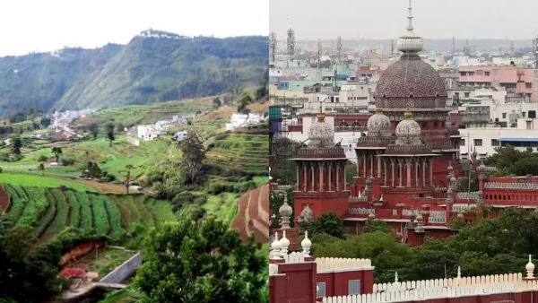 Kodaiakanal forest departments Land Grabbing case - Madras HC orderted Tamil Nadu Government to reply Kodaiakanal forest departments Land Grabbing case - Madras HC orderted Tamil Nadu Government to reply