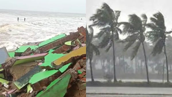 மரங்களின் அருகில் நிற்கக்கூடாது
