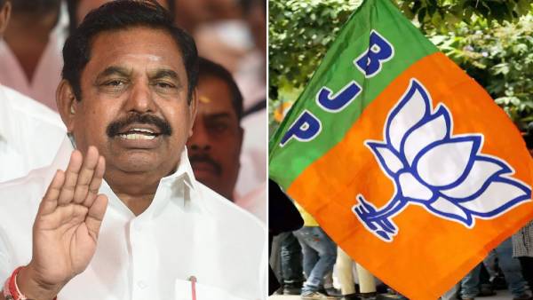 5 புள்ளிகள்