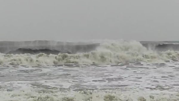 மீன் வலைகள்