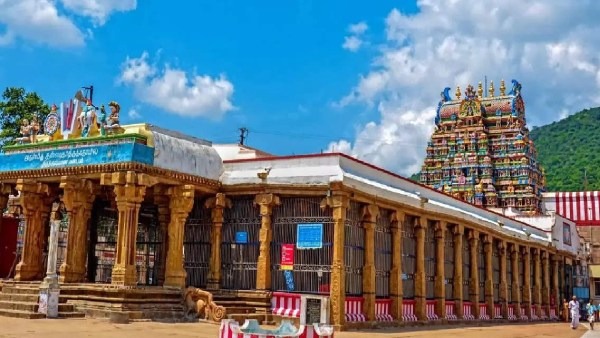 ரியல் எஸ்டேட் தொழில்