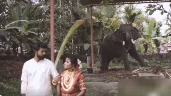  கடுப்பான யானை.. 
