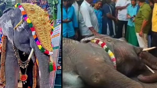மரணம்