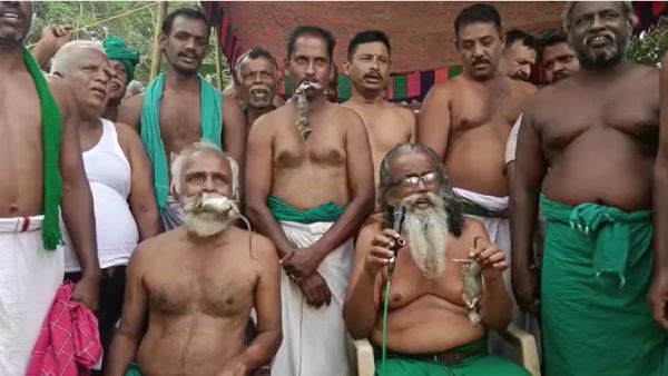எலியை வாயில் கவ்வியப்படி