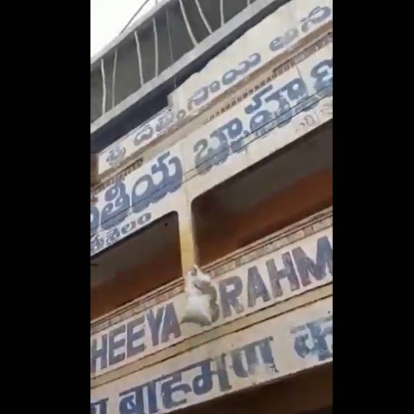 ஆனந்த் மகிந்திரா ட்விட்